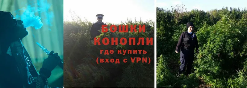 Бошки Шишки Ganja  Прохладный 